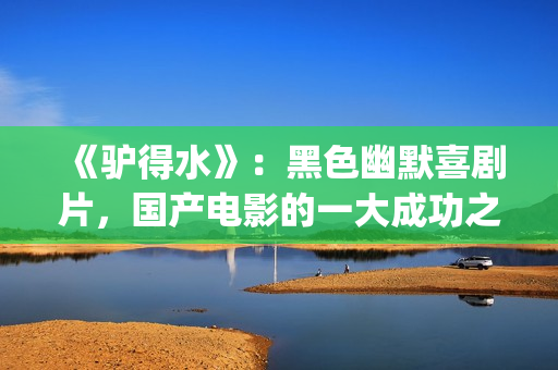 《驴得水》：黑色幽默喜剧片，国产电影的一大成功之作！(驴得水背后深层含义)