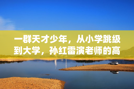 一群天才少年，从小学跳级到大学，孙红雷演老师的高分小众电影(一群天才少年的小说)
