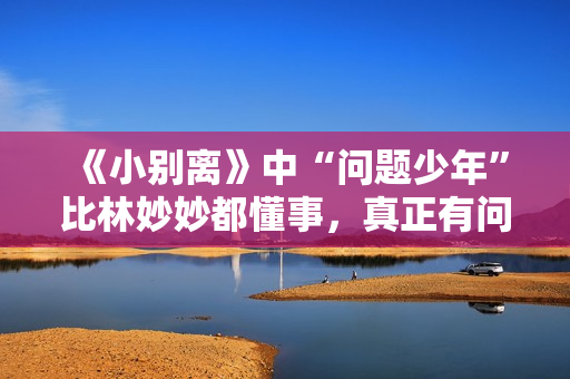 《小别离》中“问题少年”比林妙妙都懂事，真正有问题却是父母们