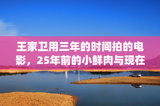 王家卫用三年的时间拍的电影，25年前的小鲜肉与现在有何不同？(播放王家卫的)