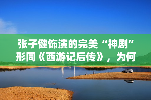 张子健饰演的完美“神剧”形同《西游记后传》，为何却被点名批评(张子健饰演的完美人生)
