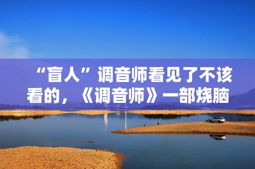 “盲人”调音师看见了不该看的，《调音师》一部烧脑悬疑片