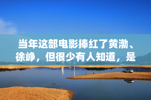 当年这部电影捧红了黄渤、徐峥，但很少有人知道，是刘德华投资的(当红电影)