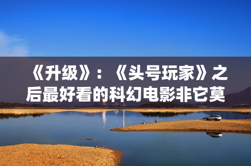 《升级》：《头号玩家》之后最好看的科幻电影非它莫属(《升级》下载)