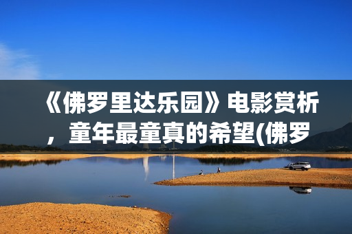 《佛罗里达乐园》电影赏析，童年最童真的希望(佛罗里达乐园解析)