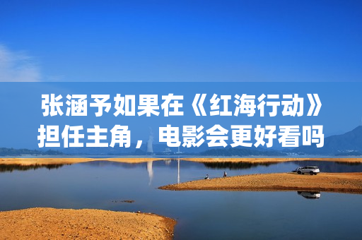 张涵予如果在《红海行动》担任主角，电影会更好看吗？(怎么评价张涵予)
