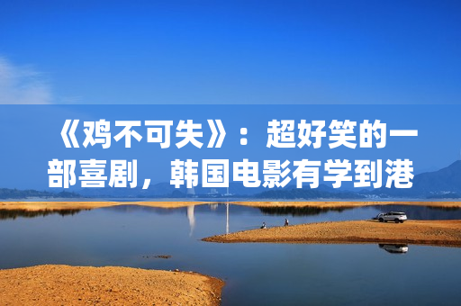《鸡不可失》：超好笑的一部喜剧，韩国电影有学到港片精髓(《鸡不可失》大结局)