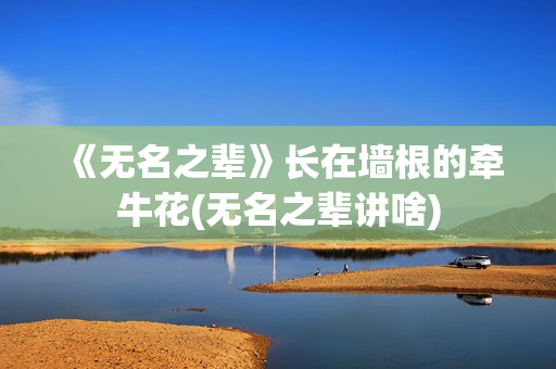 《无名之辈》长在墙根的牵牛花(无名之辈讲啥)
