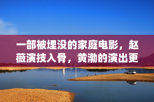 一部被埋没的家庭电影，赵薇演技入骨，黄渤的演出更是烙印级别(被埋没的作品)