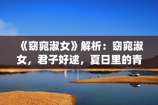 《窈窕淑女》解析：窈窕淑女，君子好逑，夏日里的青春活力(窈窕淑女简介)
