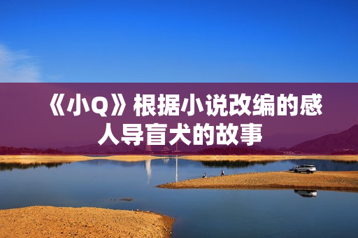《小Q》根据小说改编的感人导盲犬的故事