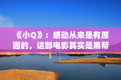 《小Q》：感动从来是有原因的，这部电影其实是黑帮片(电影小q里面的歌曲)