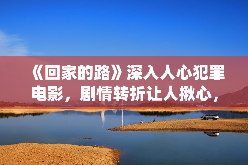 《回家的路》深入人心犯罪电影，剧情转折让人揪心，令人十分感动(回家的路解析)