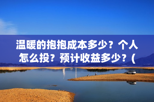 温暖的抱抱成本多少？个人怎么投？预计收益多少？(温暖的抱抱 成本)