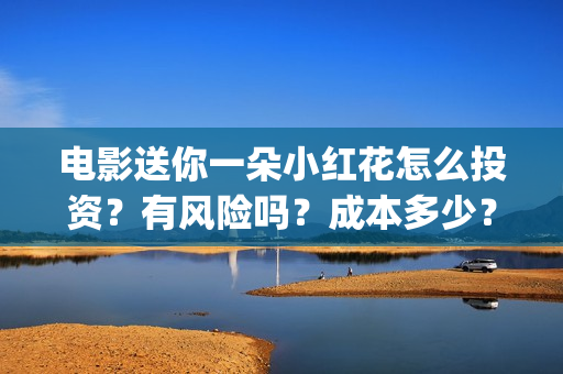 电影送你一朵小红花怎么投资？有风险吗？成本多少？(电影送你一朵小红花观后感)