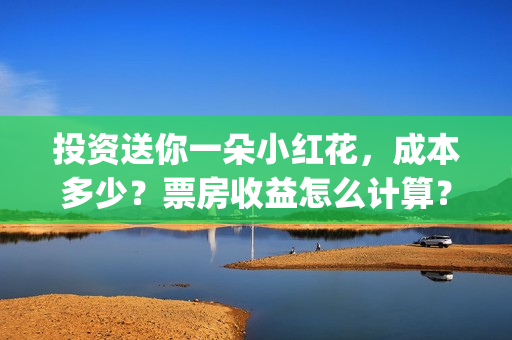 投资送你一朵小红花，成本多少？票房收益怎么计算？(投资送你一朵小红花骗局)