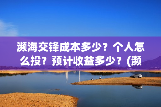 濒海交锋成本多少？个人怎么投？预计收益多少？(濒海交锋最新进展)