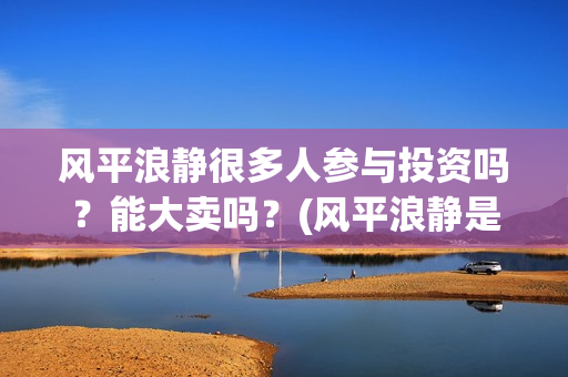 风平浪静很多人参与投资吗？能大卖吗？(风平浪静是什么歌)