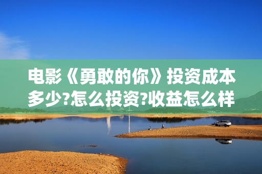 电影《勇敢的你》投资成本多少?怎么投资?收益怎么样?(电影《勇敢的你》演员表)