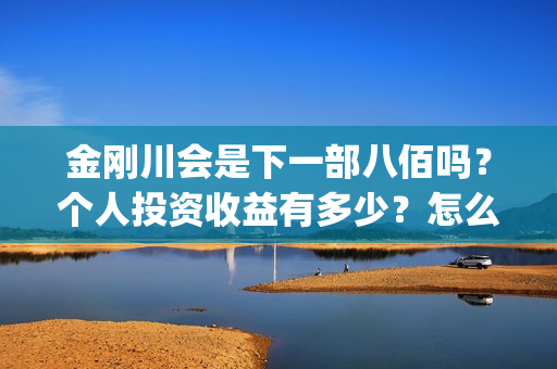 金刚川会是下一部八佰吗？个人投资收益有多少？怎么参与投资？成本多少？ (金刚川合理吗)
