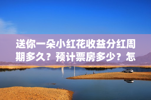 送你一朵小红花收益分红周期多久？预计票房多少？怎么投资吗？(送你一朵小红花电影剧情介绍)