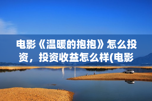 电影《温暖的抱抱》怎么投资，投资收益怎么样(电影《温暖的抱抱》下载)