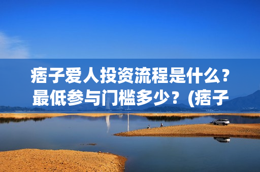 痞子爱人投资流程是什么？最低参与门槛多少？(痞子爱人2021)