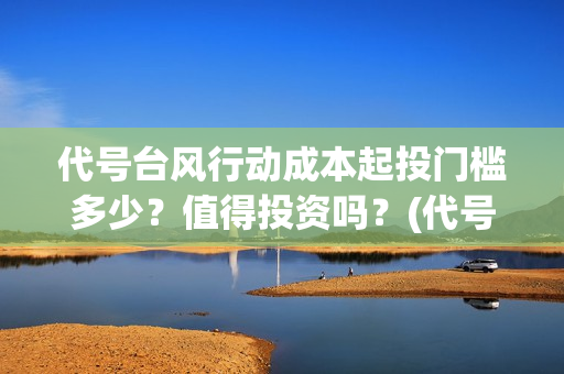 代号台风行动成本起投门槛多少？值得投资吗？(代号台风行动有谁主演)