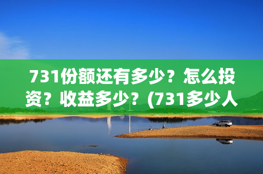 731份额还有多少？怎么投资？收益多少？(731多少人)
