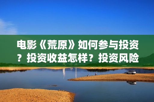 电影《荒原》如何参与投资？投资收益怎样？投资风险大吗？(电影《荒原》如何拍摄)