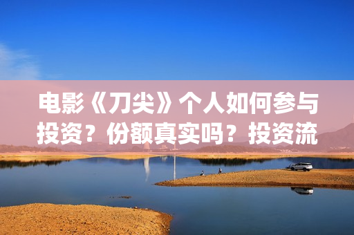 电影《刀尖》个人如何参与投资？份额真实吗？投资流程？(电影《刀尖》在线观看)
