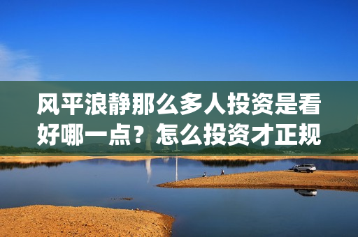 风平浪静那么多人投资是看好哪一点？怎么投资才正规？(风平浪静的时候是哪首歌)