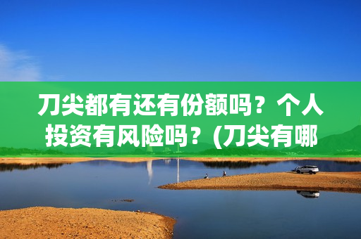 刀尖都有还有份额吗？个人投资有风险吗？(刀尖有哪几种)