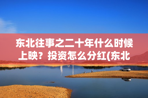 东北往事之二十年什么时候上映？投资怎么分红(东北往事之二十年上映了吗)