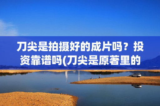 刀尖是拍摄好的成片吗？投资靠谱吗(刀尖是原著里的谁)