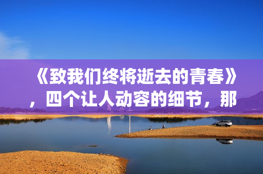 《致我们终将逝去的青春》，四个让人动容的细节，那是你的青春吗(致我们终将逝去的青春小说免费阅读)