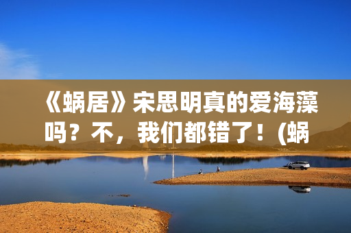《蜗居》宋思明真的爱海藻吗？不，我们都错了！(蜗居宋思明和海藻亲热是在哪一集)