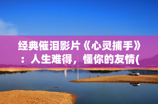 经典催泪影片《心灵捕手》：人生难得，懂你的友情(重磅催泪电影)