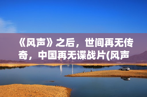 《风声》之后，世间再无传奇，中国再无谍战片(风声最后一句话)