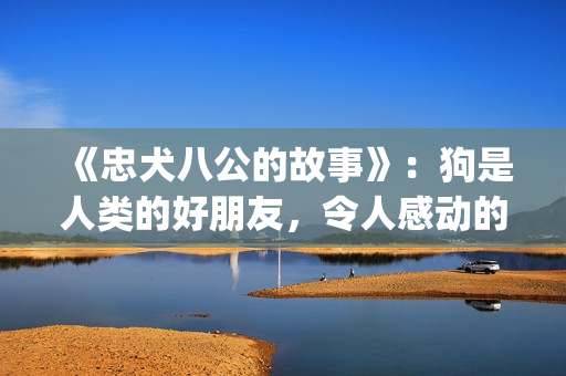 《忠犬八公的故事》：狗是人类的好朋友，令人感动的真实故事(忠犬八公的故事简介)