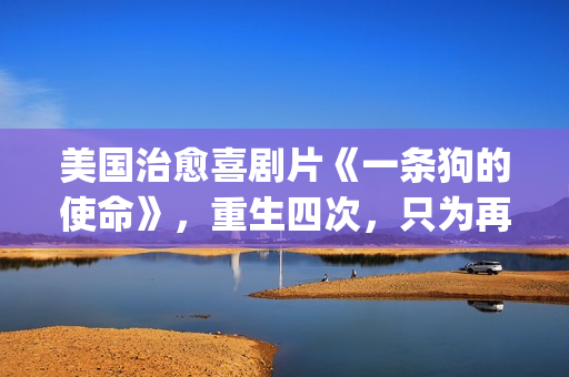 美国治愈喜剧片《一条狗的使命》，重生四次，只为再次遇见你！(必看美国喜剧)