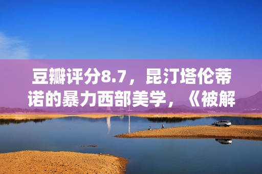 豆瓣评分8.7，昆汀塔伦蒂诺的暴力西部美学，《被解救的姜戈》(云南豆瓣评分)