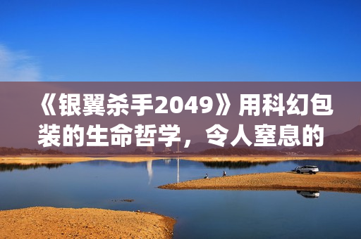《银翼杀手2049》用科幻包装的生命哲学，令人窒息的视觉震撼(银翼杀手2049评分)
