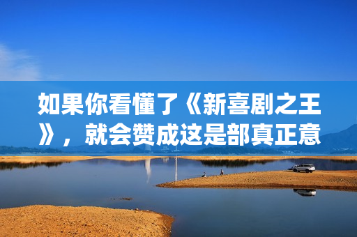 如果你看懂了《新喜剧之王》，就会赞成这是部真正意义上的好电影(如果你听懂了)