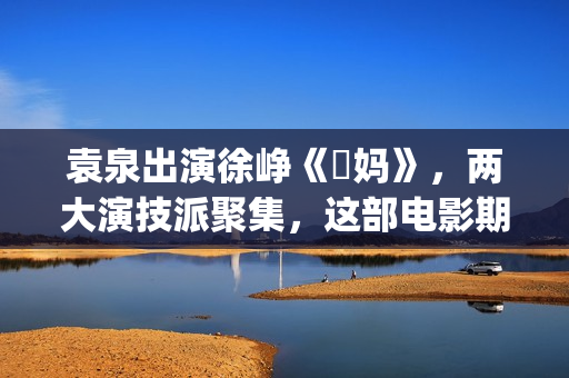 袁泉出演徐峥《囧妈》，两大演技派聚集，这部电影期待值很高！(袁泉徐峥电影)