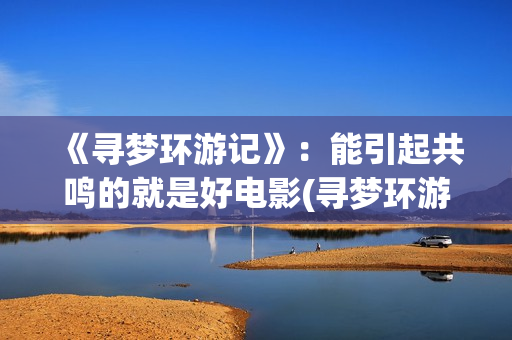 《寻梦环游记》：能引起共鸣的就是好电影(寻梦环游记在线观看)