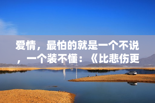 爱情，最怕的就是一个不说，一个装不懂：《比悲伤更悲伤的故事》(感情中最怕的就是)