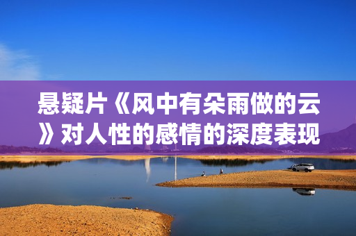 悬疑片《风中有朵雨做的云》对人性的感情的深度表现很到位(风中有风)