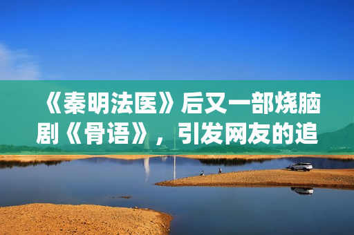 《秦明法医》后又一部烧脑剧《骨语》，引发网友的追捧与想象(秦明法医的结局)