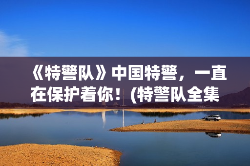 《特警队》中国特警，一直在保护着你！(特警队全集)